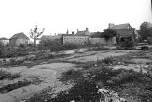 North Walsham Cattle Market