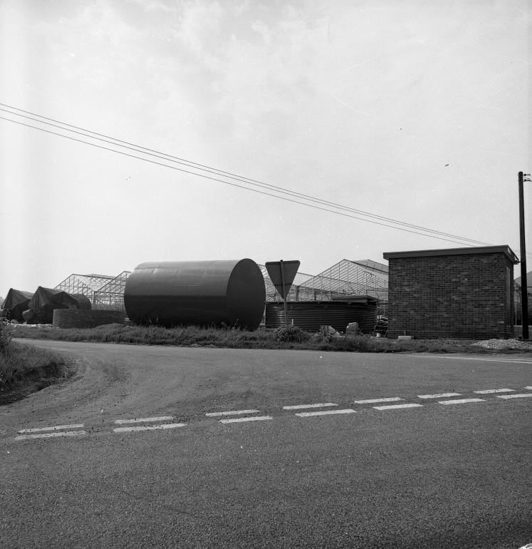 Hadfield Garden Centre, Yarmouth Road (North Walsham Archive) Photograph. Hadfield Garden Centre, Yarmouth Road (North Walsham Archive).