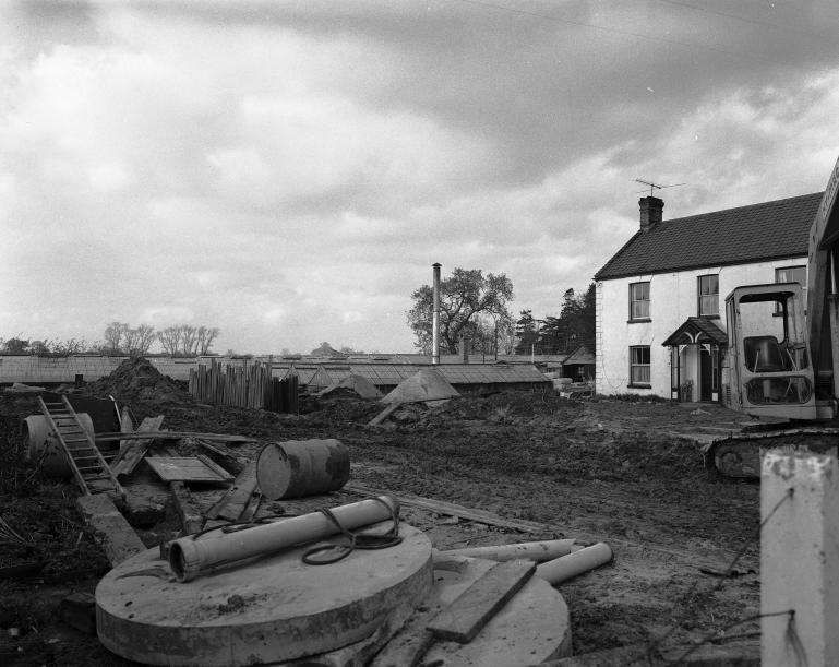 Photograph. Hadfield Garden Centre (North Walsham Archive).