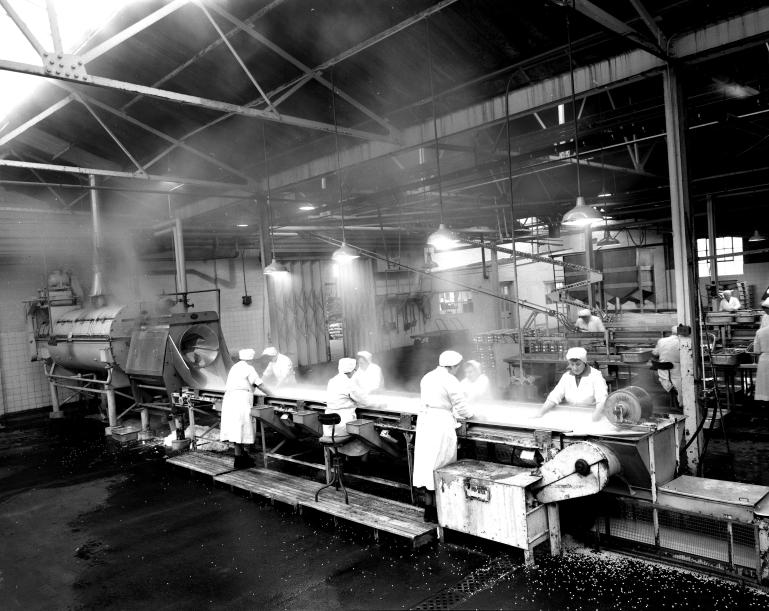 Photograph. HP Smedleys Factory Floor, Norwich Road (North Walsham Archive).