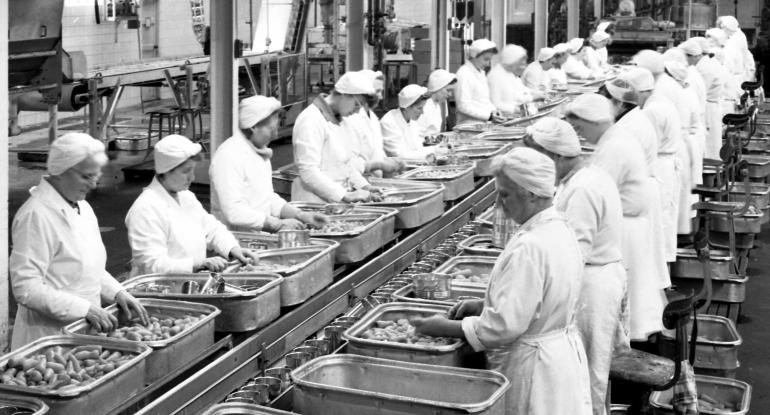 Photograph. HP Smedleys Factory Floor, Norwich Road (North Walsham Archive).