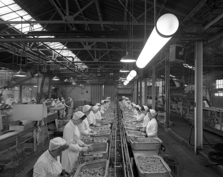 Photograph. HP Smedleys Factory Floor, Norwich Road (North Walsham Archive).