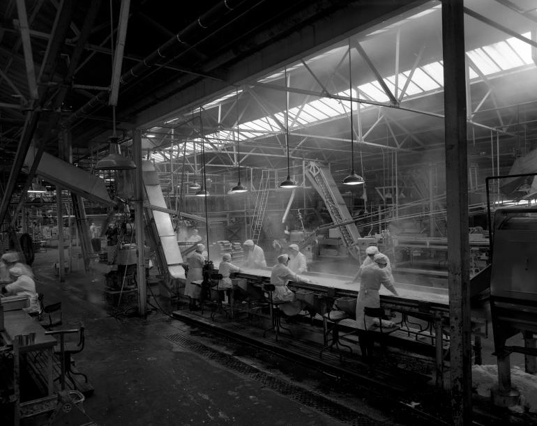 HP Smedleys Factory Floor, Norwich Road (North Walsham Archive) Photograph. HP Smedleys Factory Floor, Norwich Road (North Walsham Archive).
