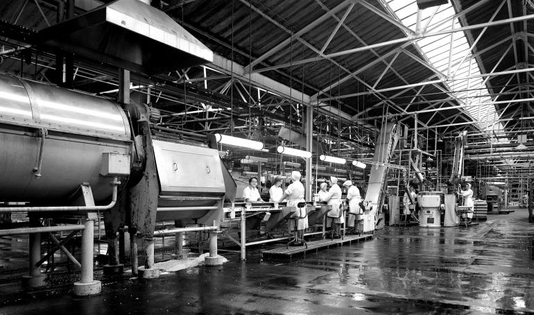 Photograph. HP Smedleys Factory Floor, Norwich Road (North Walsham Archive).