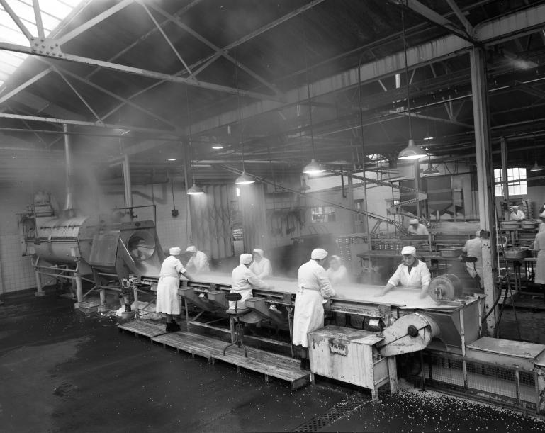 Photograph. HP Smedleys Factory Floor, Norwich Road (North Walsham Archive).