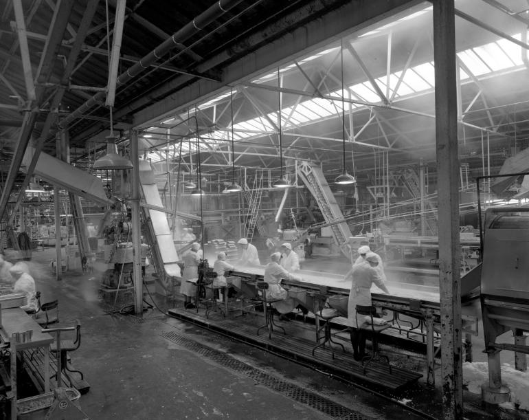 Photograph. HP Smedleys Factory Floor, Norwich Road (North Walsham Archive).