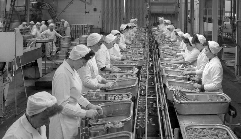 Photograph. HP Smedleys Factory Floor, Norwich Road (North Walsham Archive).